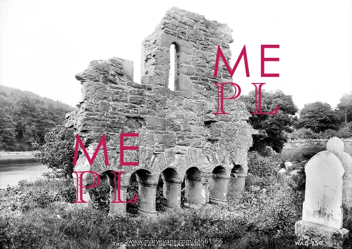 : The Cloisters, Donegal Abbey : The Cloisters, Donegal Abbey