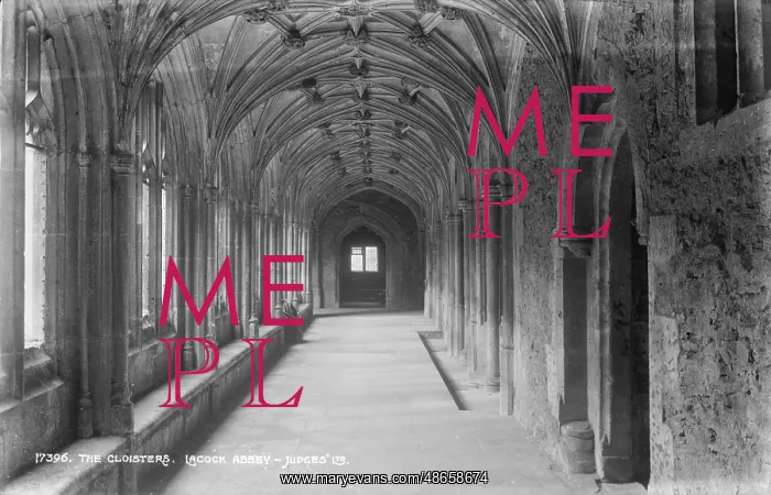 : The Cloisters at Lacock Abbey : The Cloisters at Lacock Abbey