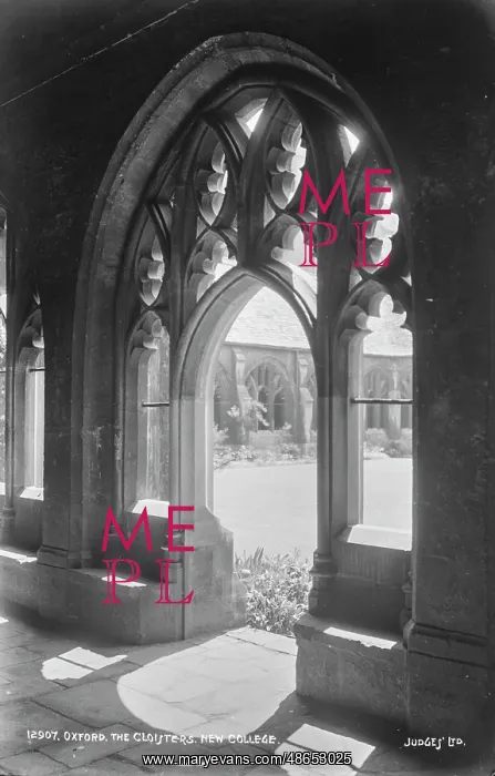 : The Cloisters of New College : The Cloisters of New College