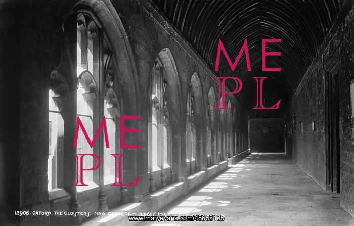 : The Cloisters of New College : The Cloisters of New College