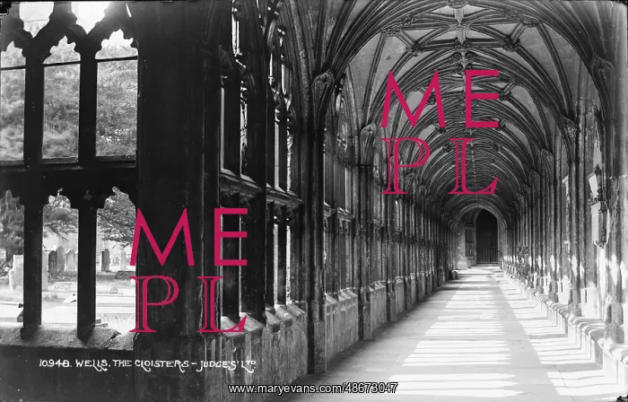 : The Cloisters of Wells Cathedral : The Cloisters of Wells Cathedral