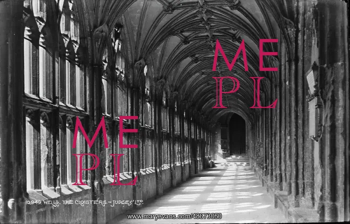 : The Cloisters of Wells Cathedral : The Cloisters of Wells Cathedral