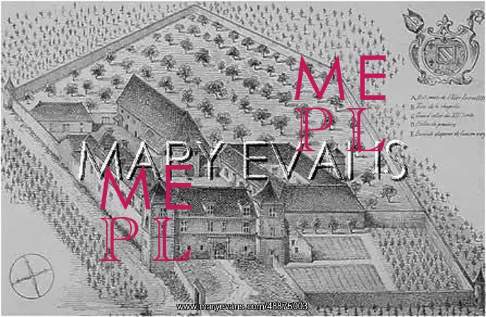 : CLOS VOUGEOT VINEYARD : CLOS VOUGEOT VINEYARD