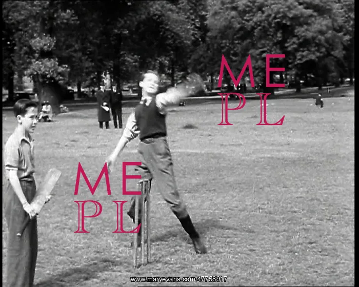 : A Close Up of Boys Playing Cricket With A Batsman : A Close Up of Boys Playing Cricket With A Batsman
