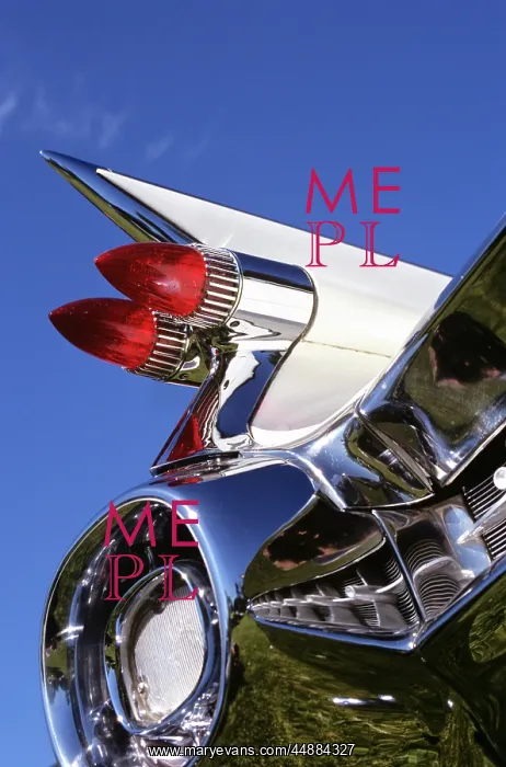  : Close Up Of Fins And Taillights