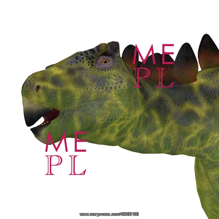: Close-up of a Huayangosaurus dinosaur head : Close-up of a Huayangosaurus dinosaur head