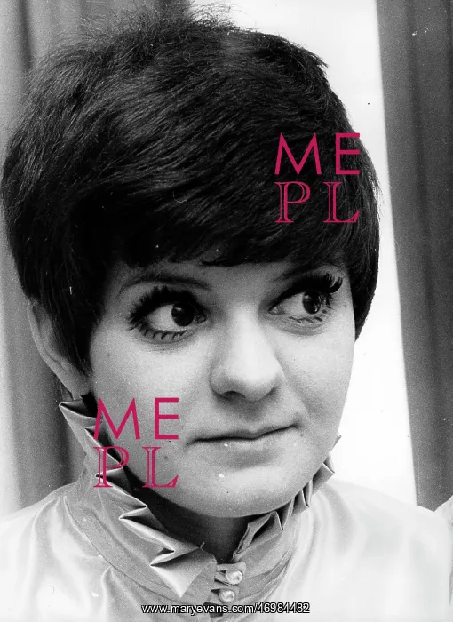 : Close-up of a member of Reparata and the Delrons : Close-up of a member of Reparata and the Delrons