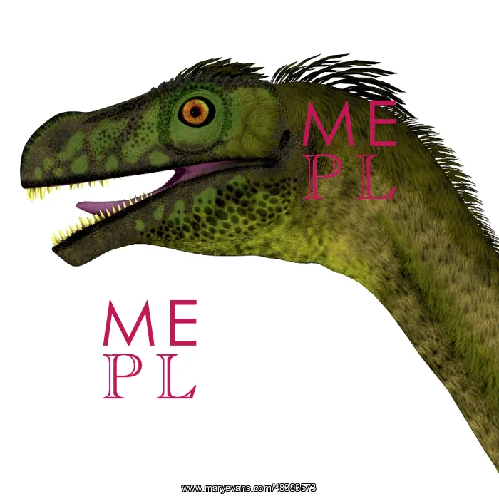 : Close-up of a Ornitholestes dinosaur head : Close-up of a Ornitholestes dinosaur head