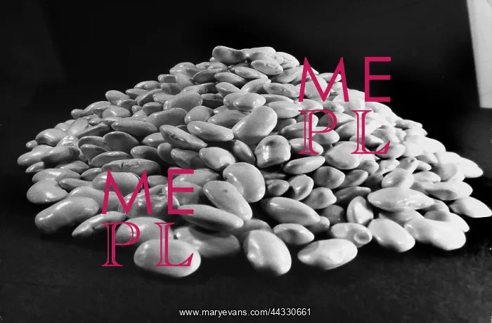 : Italy. Close-up of a pile of beans : Italy. Close-up of a pile of beans