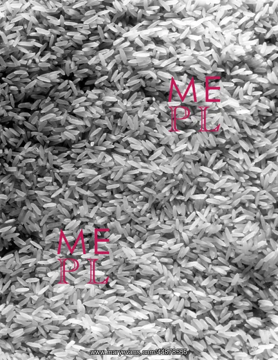  : CLOSE-UP OF RICE