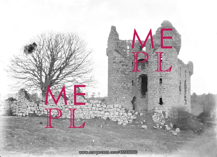 : Close in view of Monea Castle, Fermanagh : Close in view of Monea Castle, Fermanagh