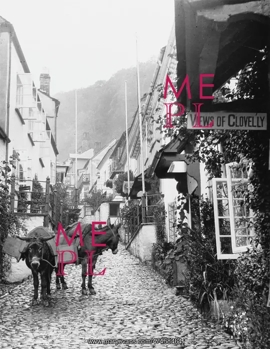  : CLOVELLY. Donkeys in the steep, narrow main street of Clovelly, Devon