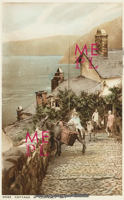  : Clovelly, Cornwall - Donkey on the cobbled path
