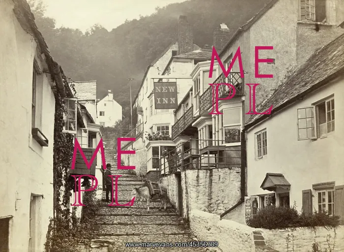 : Clovelly, Devon : Clovelly, Devon
