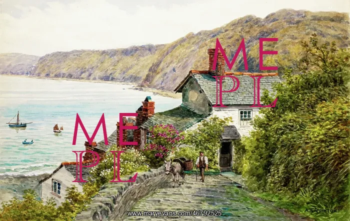 : Clovelly, Devon : Clovelly, Devon