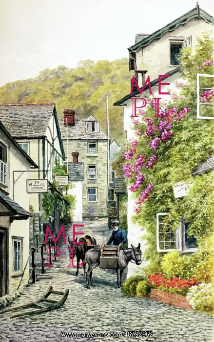 : Clovelly, Devon : Clovelly, Devon