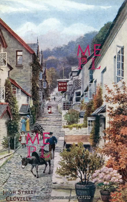  : CLOVELLY, DEVON