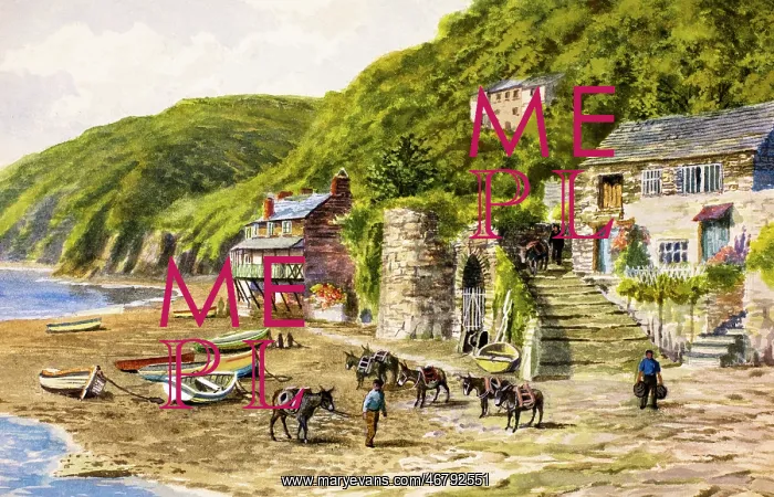 : Clovelly Harbour, Devon : Clovelly Harbour, Devon