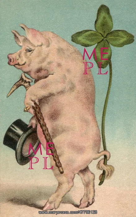 : Clover-Tailed Pig