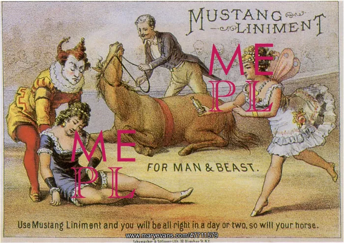  : Clown Dragging Woman