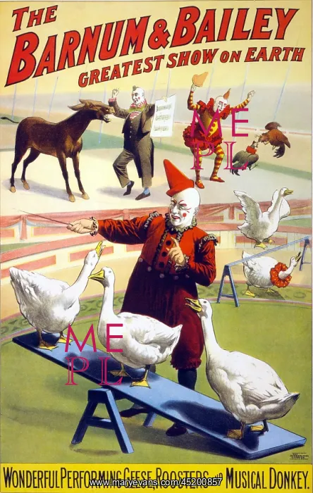 : Clowns perform with geese, roosters and ? : Clowns perform with geese, roosters and ?