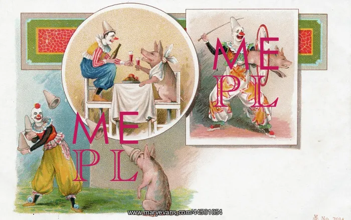 : Clowns and pigs : Clowns and pigs