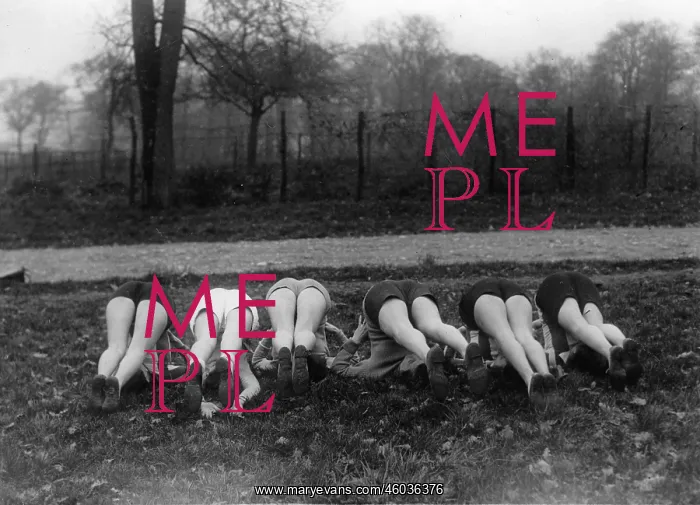 : Club des midinettes : Club des midinettes