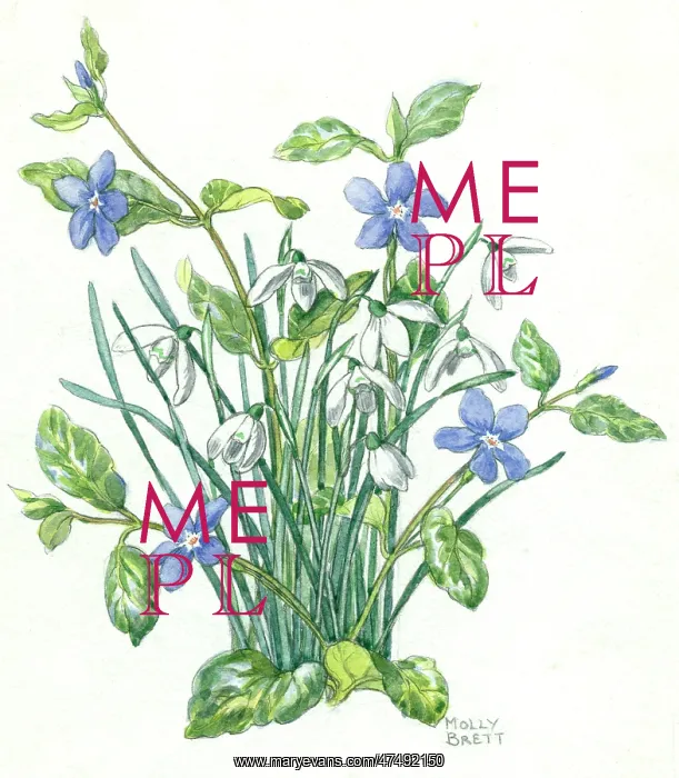  : A clump of snowdrops and periwinkle