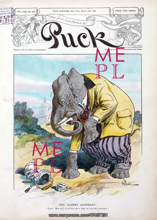  : The clumsy elephant