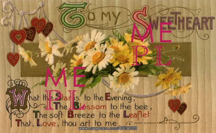  : Cluster of Daisies and Hearts