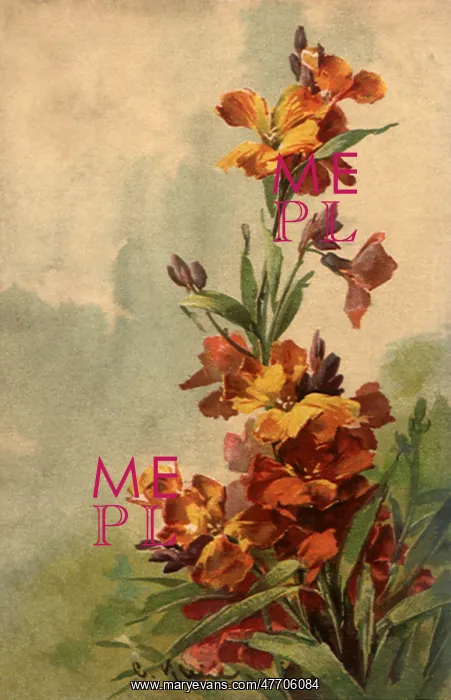  : Cluster of Flowers