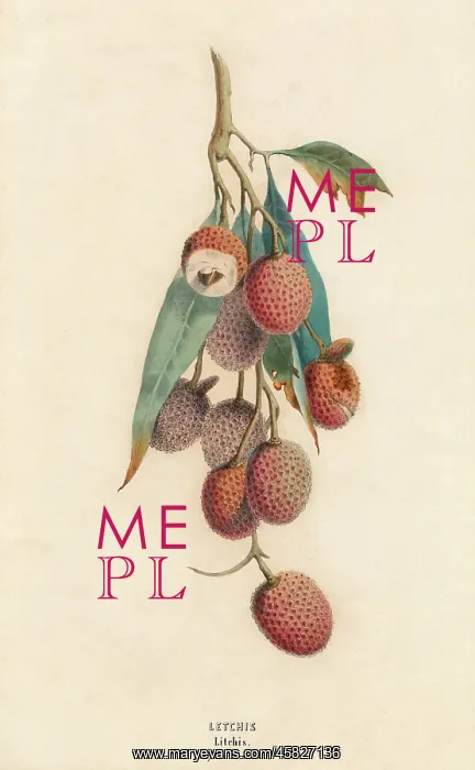 : A cluster of lychee fruit - China : A cluster of lychee fruit - China