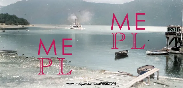 : Clyde paddle steamer : Clyde paddle steamer