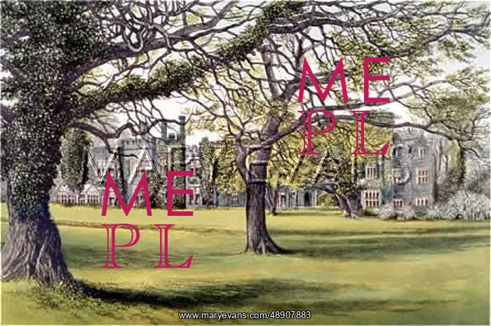  : CLYNE PARK / WALES 1879