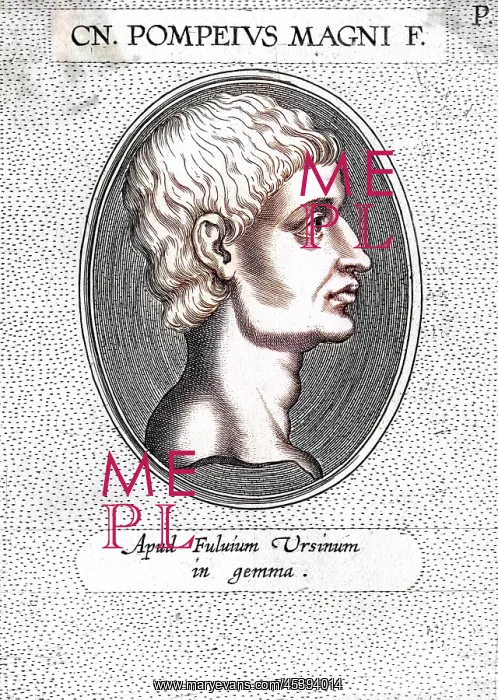 : CNEIUS POMPEIUS : CNEIUS POMPEIUS
