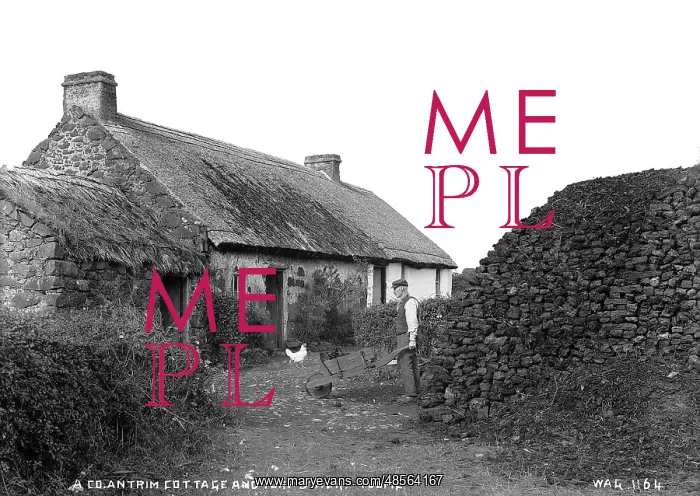 : A Co. Antrim Cottage and Turf Stack, Toome : A Co. Antrim Cottage and Turf Stack, Toome