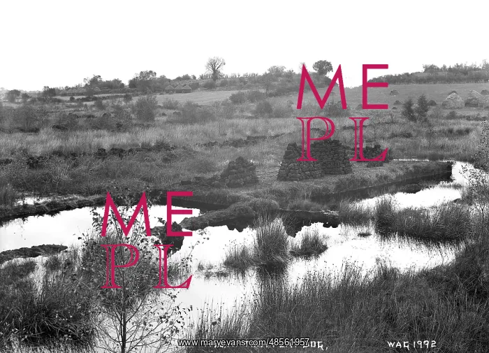 : A Co. Antrim Peat Bog : A Co. Antrim Peat Bog