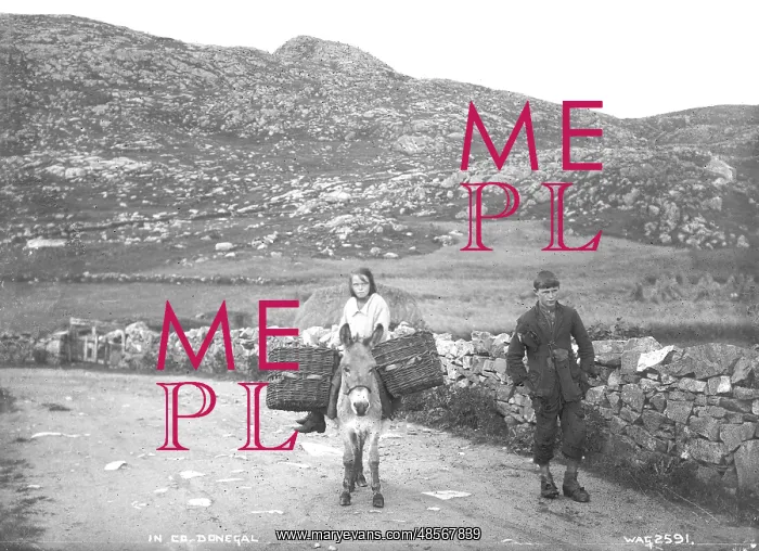 : In Co. Donegal : In Co. Donegal