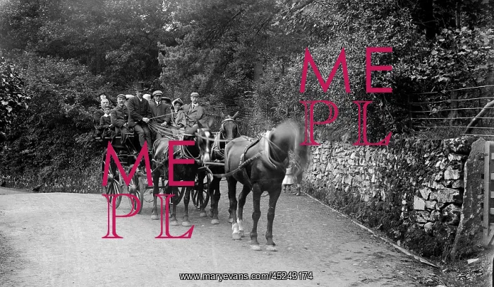 : Coach near Grasmere, Lake District : Coach near Grasmere, Lake District