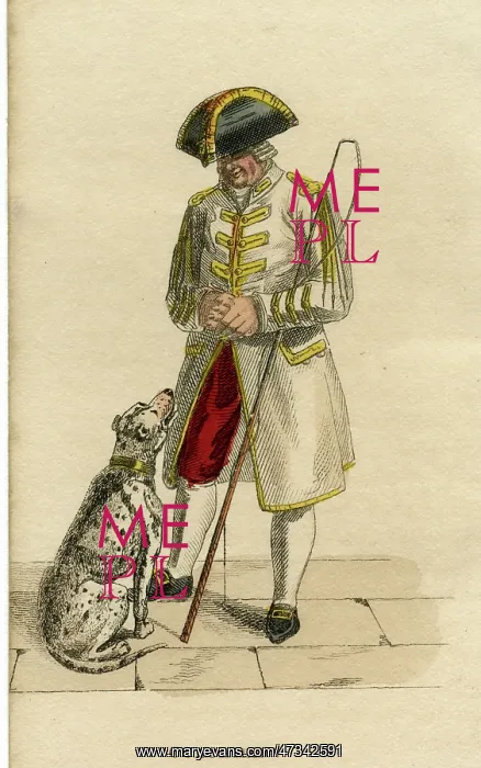 : Coachman and Dalmatian : Coachman and Dalmatian