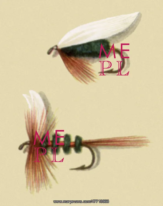 : Coachman Flies : Coachman Flies