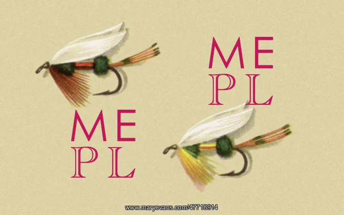  : Coachman Flies - Wet