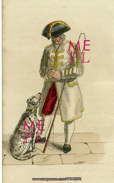  : COACHMAN'S DALMATIAN