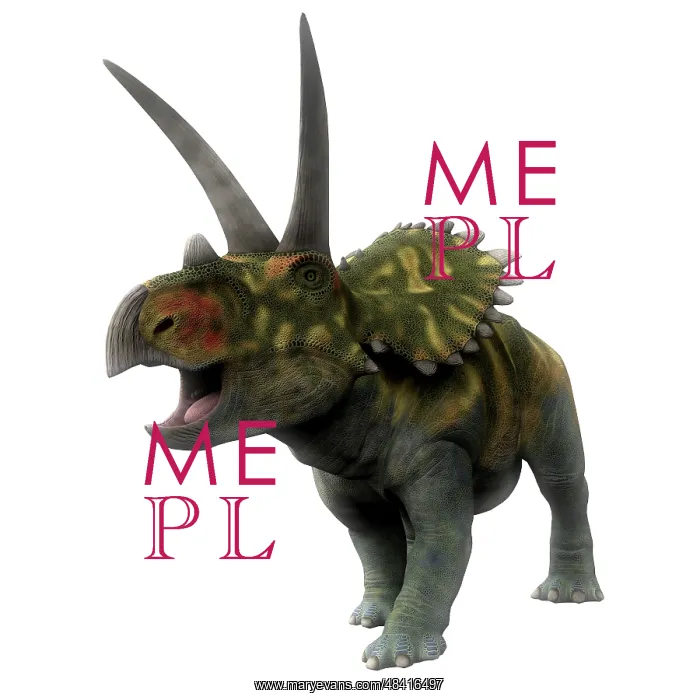 : Coahuilaceratops dinosaur, front view : Coahuilaceratops dinosaur, front view