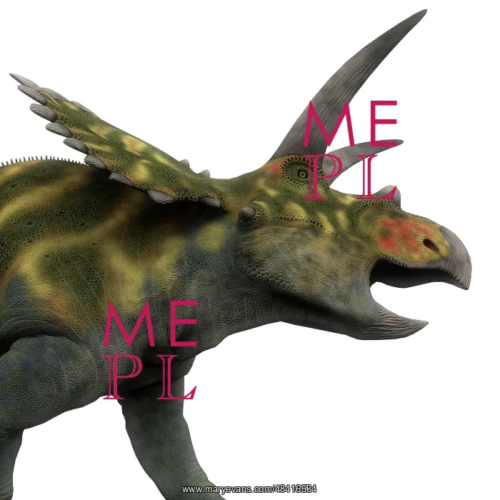 : Coahuilaceratops dinosaur, side view : Coahuilaceratops dinosaur, side view