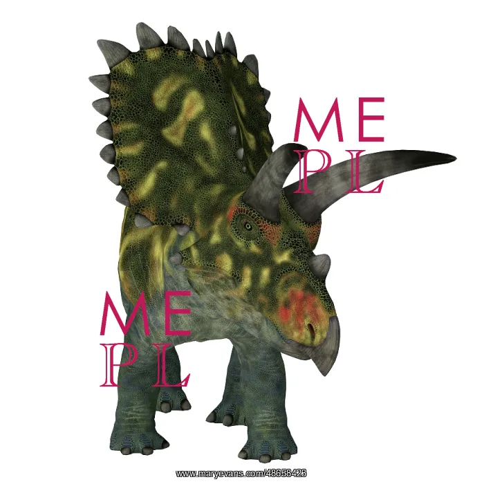 : Coahuilaceratops dinosaur, front view on white background : Coahuilaceratops dinosaur, front view on white background