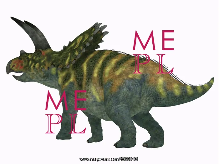 : Coahuilaceratops dinosaur on white background : Coahuilaceratops dinosaur on white background