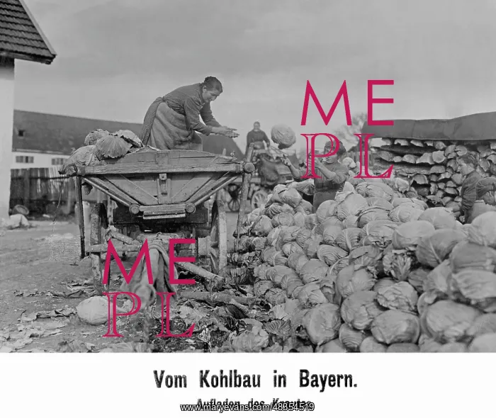: Coal harvest in Bavaria, 1909 : Coal harvest in Bavaria, 1909