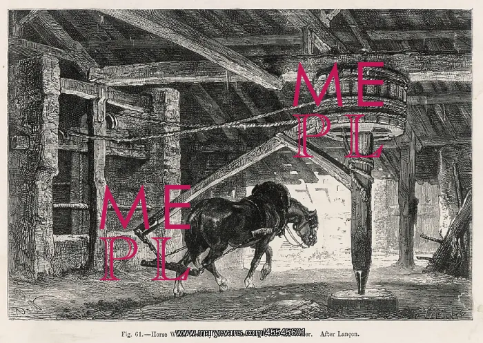  : Coal - Horse Works Whim