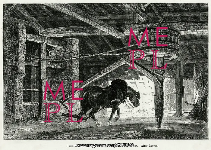 : Coal - Horse Works Whim